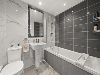 Picture 8